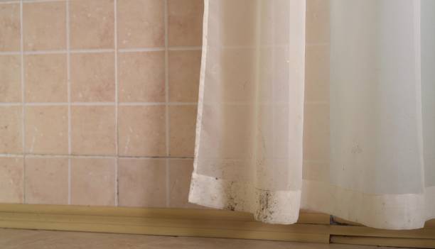 Best Indoor Air Quality Assessment  in Easton, PA