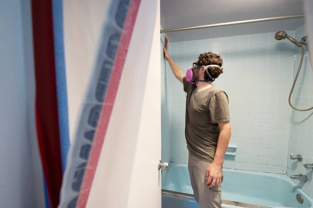 Environmental Consulting for Mold Prevention in Easton, PA